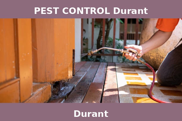 PEST CONTROL Durant